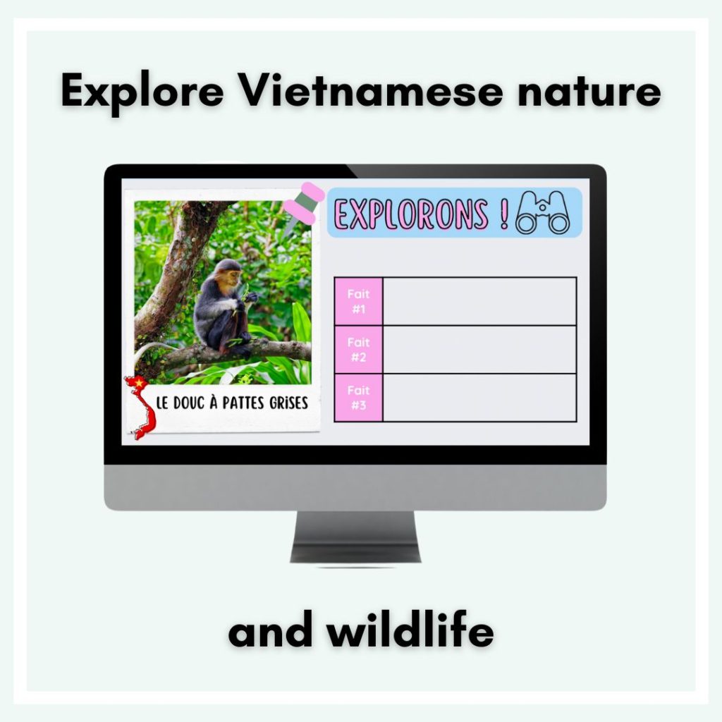 Explore nature and wildlife during your unit on francophone Vietnam